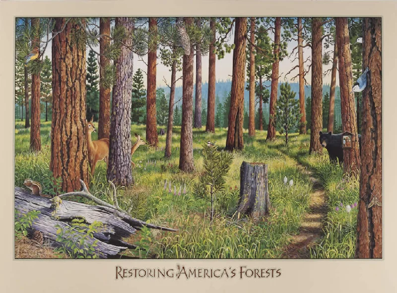 Restoring America's Forests - Small