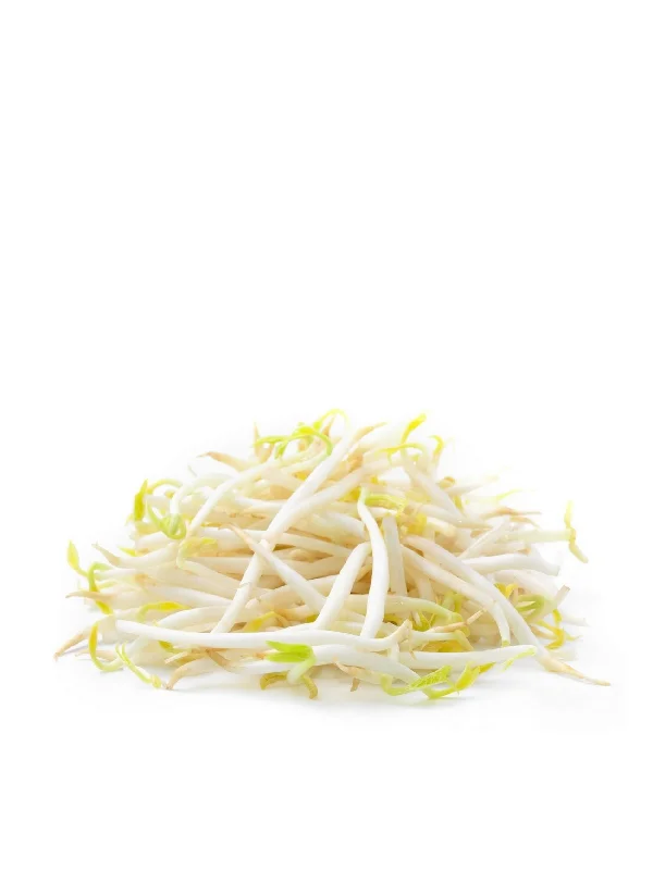 SMALL BEAN SPROUT (TAUGE) +/-450G