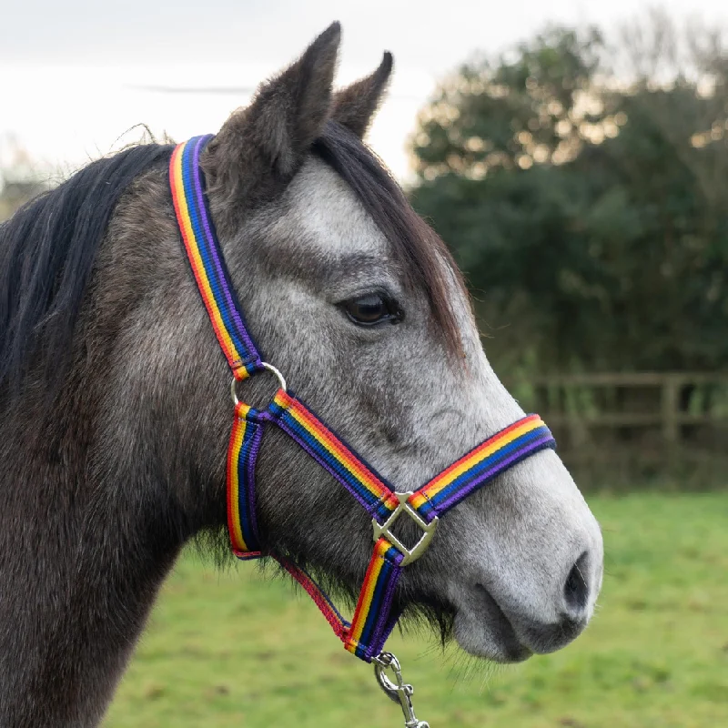 Cameo Rainbow Riders Headcollar & Lead Rope Set