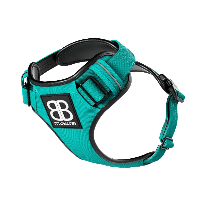 Comfort Premium Harness | Non Restrictive - Turquoise