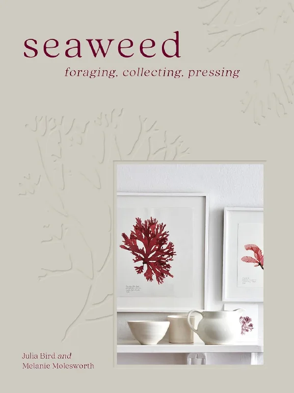 Seaweed: Foraging, Collecting and Pressing (Melanie Molesworth, Julia Bird)