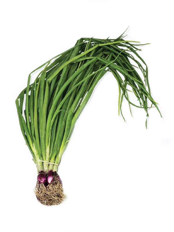 SPRING ONION (DAUN BAWANG) +/-100G