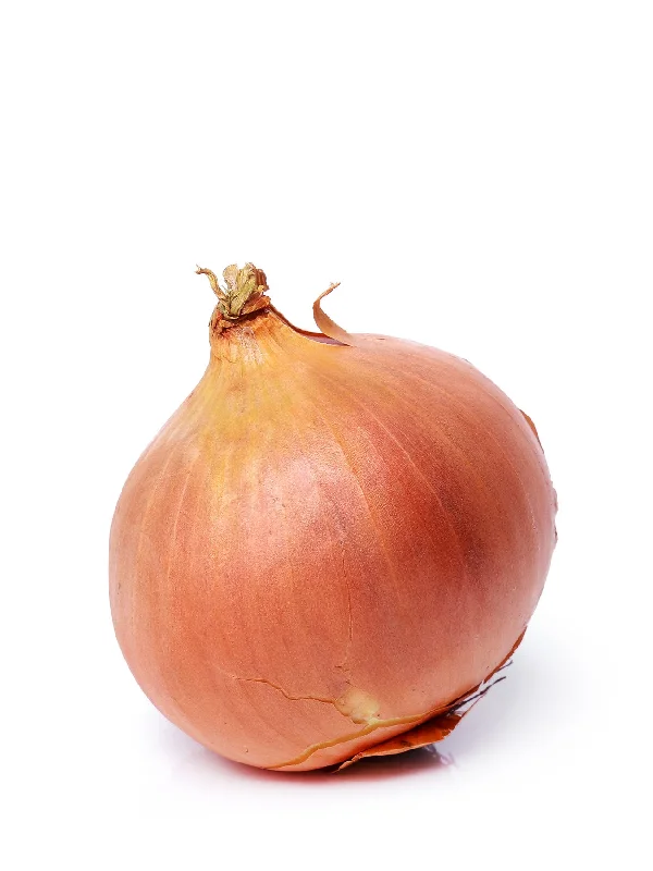 PREMIUM YELLOW ONION (+/- 500G)