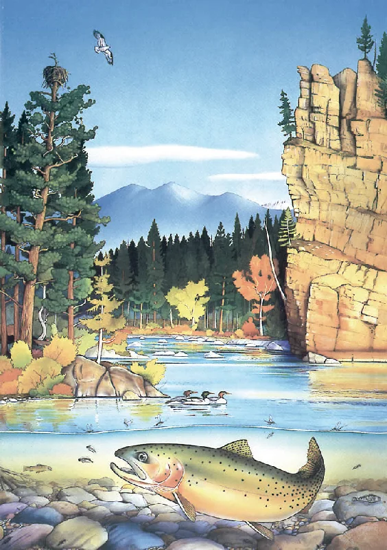 Blackfoot River - Note card