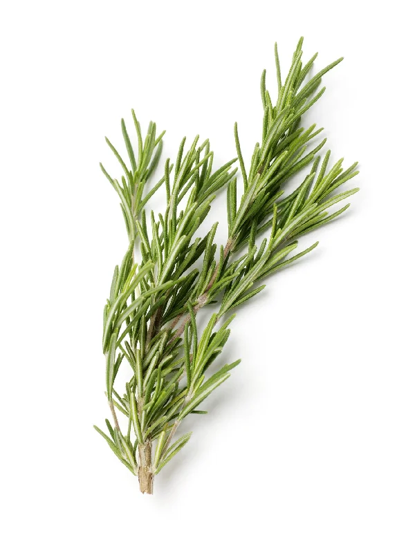 ROSEMARY KG (+/- 50G)