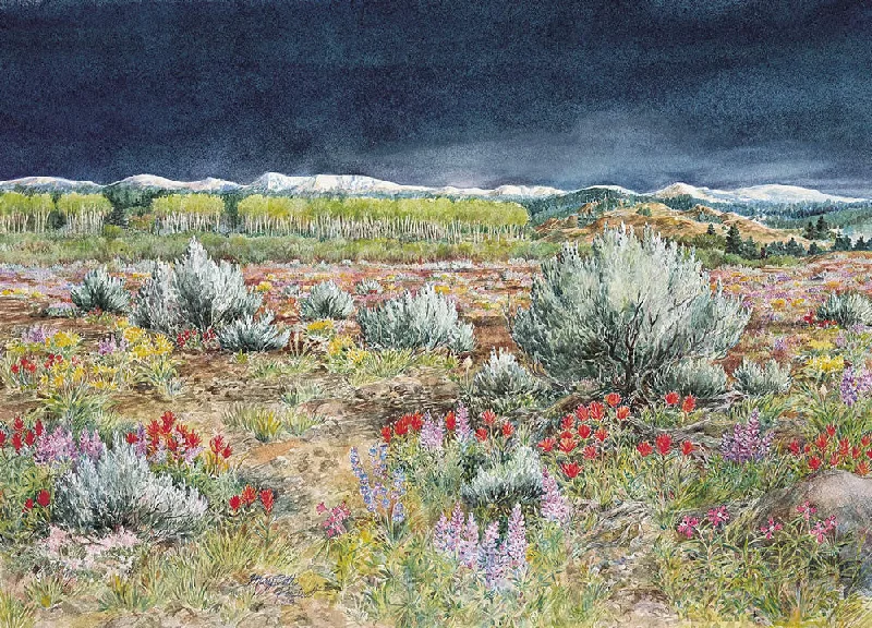 Sagebrush Country - Note card