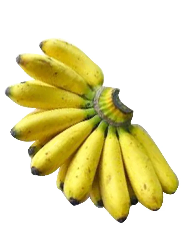 PISANG RASTALI +/-1KG