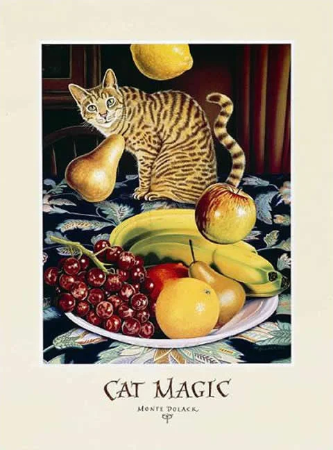 Cat Magic - Signed