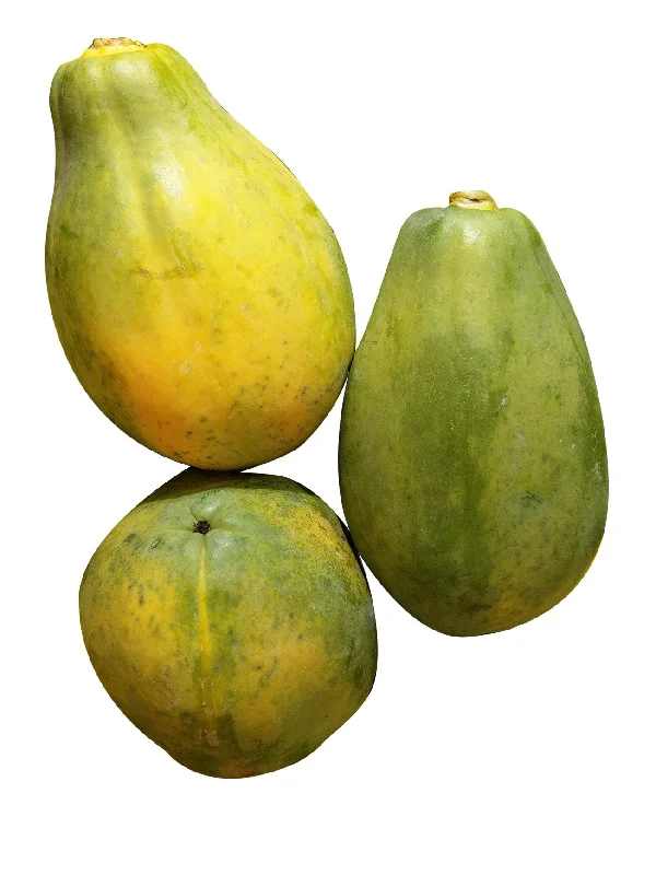 SOLO PAPAYA (+/-1KG)