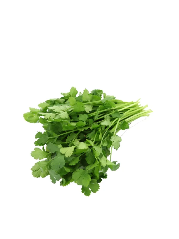 NL ENGLISH PARSLEY 50G