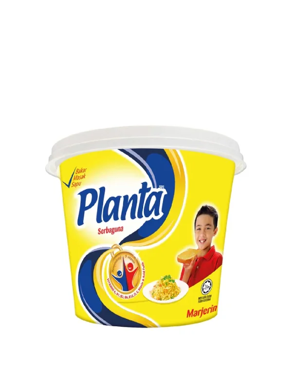 PLANTA MARGARINE 480G