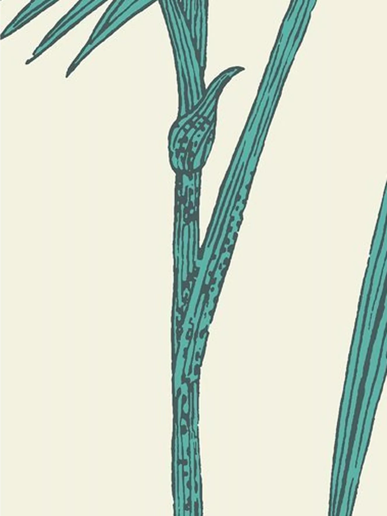 Cole & Son Palm Leaves Wallpaper