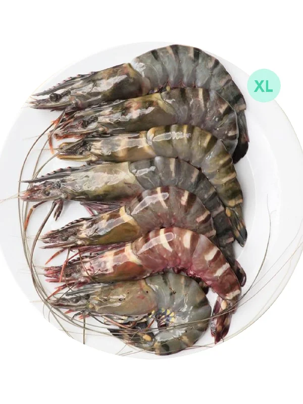 UDANG HARIMAU/TIGER PRAWN XL (+/-1KG)