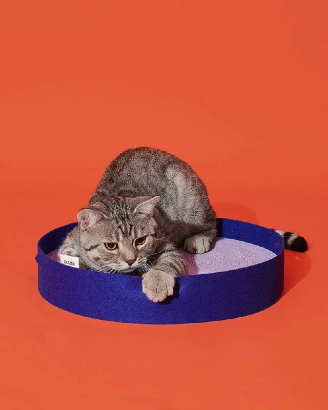 Colorful Round Cat Scratcher